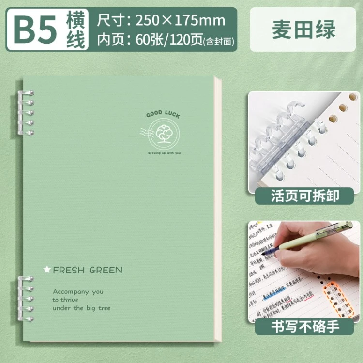 Loose-leaf notebook design 8